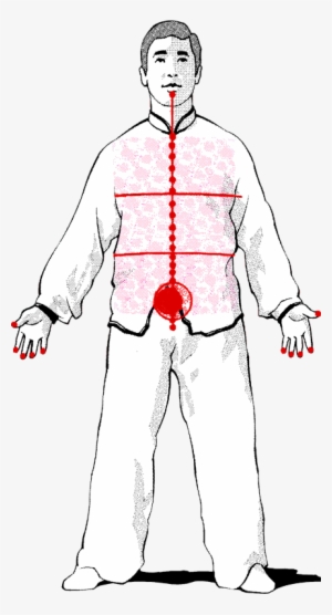 A Fundamental Part In The Training Of Luohan Gong Is - Dan Tien