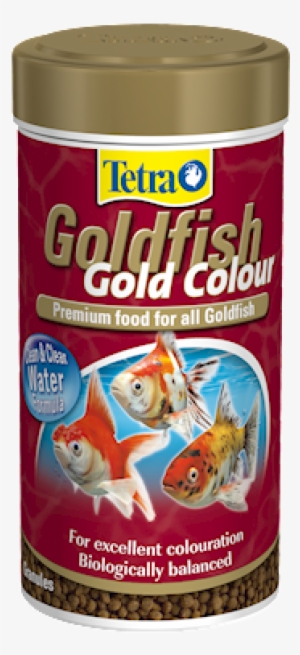 Tetra Goldfish Gold Colour - Tetra Goldfish Gold Exotic
