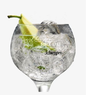 Grey Goose & Tónica Pimienta Rosa Premium - Tonica