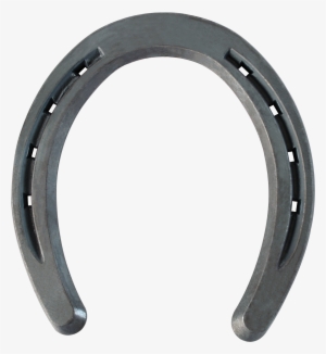 Croix Lite V-crease Horseshoe, Hybrid, Unclipped, Bottom - Steel Horseshoes