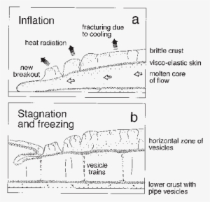 Schematic Cross-sections Through An Idealized Inflating - Pahoehoe Lava Flow Cross Section