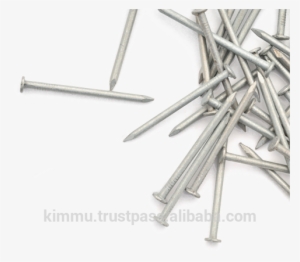 Malaysia Steel Nails, Malaysia Steel Nails Manufacturers - Nails For Wood Png