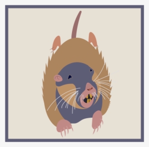 Spring Gardening Rant - Gardening