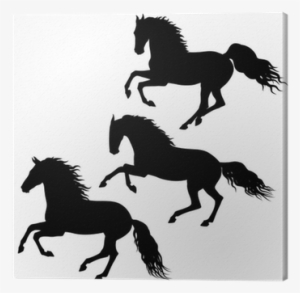 Black Running Horses Silhouettes On White Canvas Print - Caballos Corriendo En Blanco Y Negro