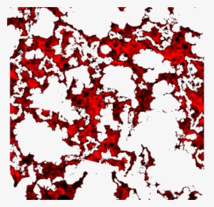 06 Feb 2009 - Illustration