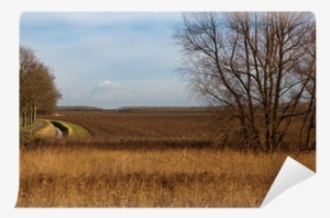 Autumnal Landscape With A Plowed Field And Bare Trees - Savanna