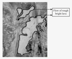 D - \2017\all Work\physics\harsh\22 - 02 - 2017\ - Grizzly Bear