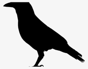 Share - Crow Black And White