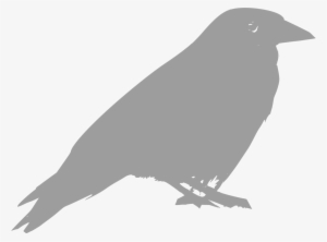Download Png - Clipart Raven