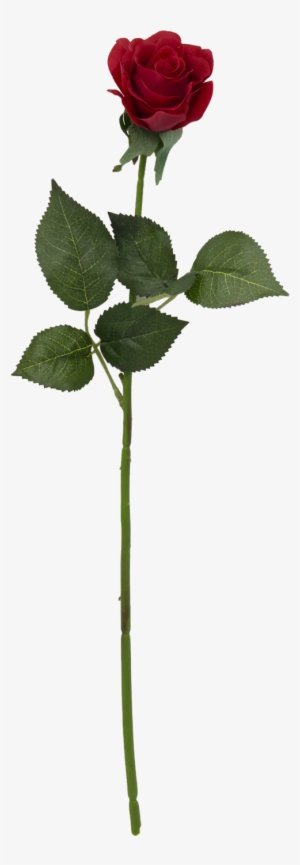 Click To Enlargeclick To Enlarge - Red