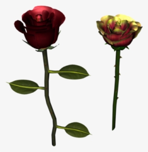 Drakelot Rose And Willsmind Rose - Garden Roses