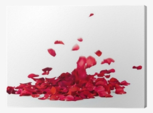 Wedding Music - Various Artists (cd)