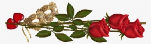 Red Roses Stems Large Photo Redroses - Red Roses Page Divider