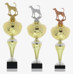 Trophy Series Hans - Hereford Cattle