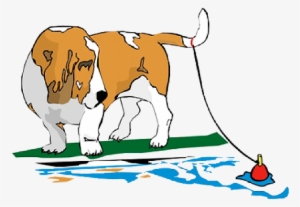 Creekside Kennels Inc - Creekside Kennels, Inc.