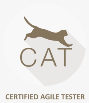 Certified Agile Tester - Agile Testing