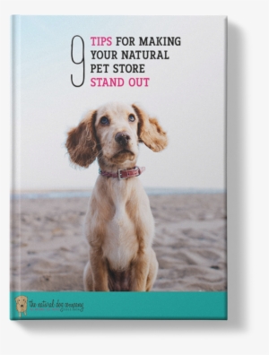 9 Tips For Making Your Natural Pet Store Stand Out - Ramka Na Zdjęcia Miętowa