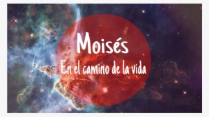 La Historia De Moises - Calling The Night - Crow Art By Sharon Cummings