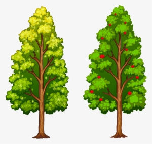 Фотки Tree Leaves, Tree Of Life, Flower Clips, Paper - Diferentes Tipos De Árvores