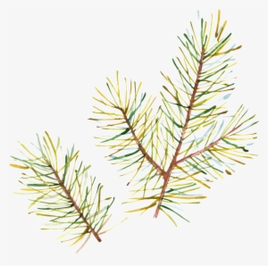 Hand Painted Half Withered Leaves Png Transparent - Christmas Tree