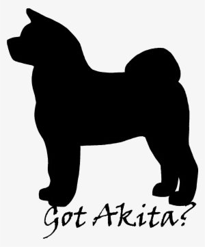 Gotakita - Akita Dog Black And White Image Png