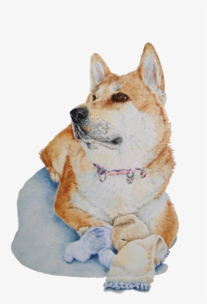 Akita And Teddy Portraite - Hübsches Rotes Akita Mit Babydecke