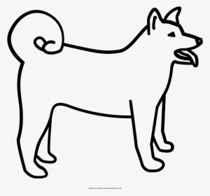 Akita Coloring Page - Dog