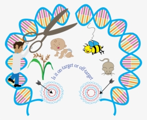 Professor Bradley's Group In Wellcome Trust Sanger