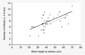 5 Mm In Pre Lh And Post Lh (black Rhombs And Black - Ovary