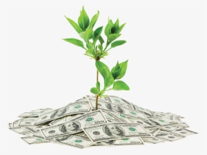 Wealth Png Transparent Image - Pays To Be Green