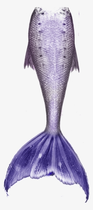 Mermaid Tail Free Download Png - Artsadd Stylish And Customized Soft And Comfortable