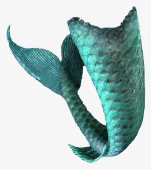 Mermaidtail Fishtail Tail Mermaid Siren Sirena Sirene