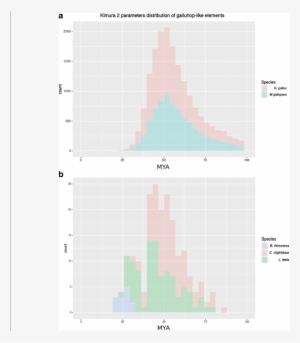 Amplification Dynamics Of Elements Within Each Genome - Diagram