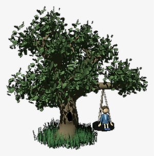 Tree With Tire Swing