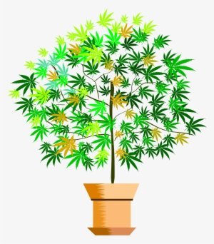 A Potted Plant Clip Art Stock - Vector Graphics