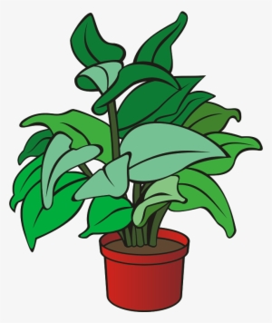 Medium Image - Clipart Picture Of Plant