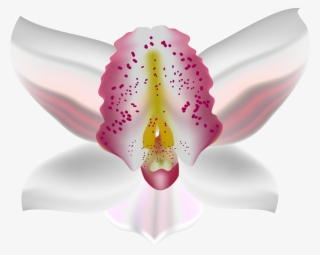Orchid Deco Flower Png Clip Art - Flower
