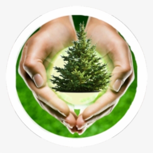 Transcarpathians Are Urged To Buy For Winter Holidays - Hand