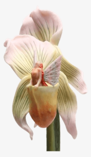 Lady Slipper Orchid Stem Flitty Fairy Flower - Stem Flitty - Lady Slipper Orchid By Sheila Wolk