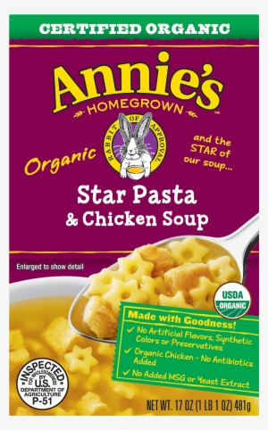Annie's Organic Star Pasta & Chicken Soup, 17oz Box - Chicken Noodle Soup Annies