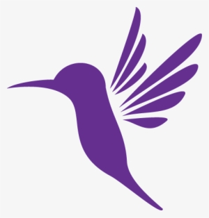 La Casa Del Colibrí - Colibri Png