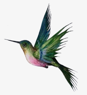 Piezas Elaboradas - Imagenes De Colibries Png