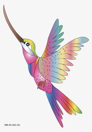 Bird Clipart - Colibri De Colores Animado