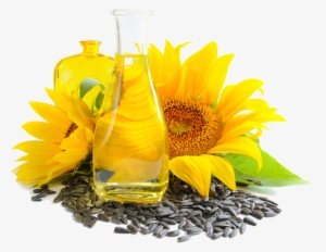 Sunflower Seeds Png Image - Sunflower Oil Png