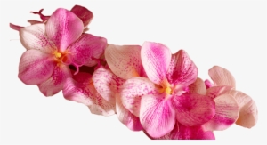 Welcome To Chada Emerald Thai Massage - Transparent Flower Massage Png