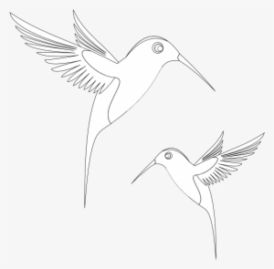 Colibri Birds Black White Line Art Coloring Book Colouring - Coloring Book