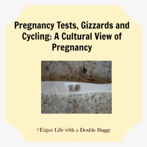 “oui Madam,” Replied The Petite, Middle Aged Woman - Animal