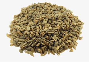 Sunflower Seeds - Fennel Seeds Vs Cumin Seeds
