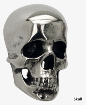 Specifications - Skull - Vis Decorative Skull Inox