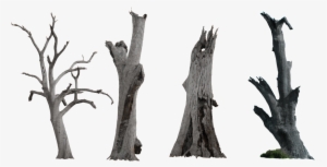 Ink Chinese Style Dry Branches Decorative Elements - Dead Tree Trunk Clipart